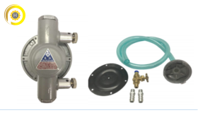 Bơm màng một chiều 1QDM-CJ601S 