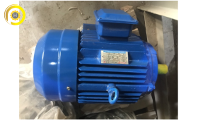 MOTOR 3 PHASE DOLIN 